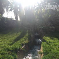 фото из отзыва ID 1652020