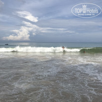 фото из отзыва ID 1652075