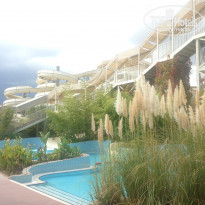 фото из отзыва ID 1650671