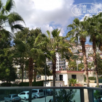 фото из отзыва ID 1652201