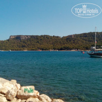 фото из отзыва ID 1652217