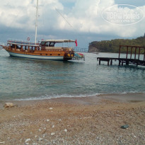 фото из отзыва ID 1652217