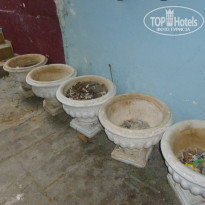 фото из отзыва ID 1652219