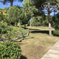 фото из отзыва ID 1652295