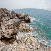 фото из отзыва ID 1652303