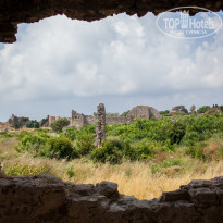 фото из отзыва ID 1652303