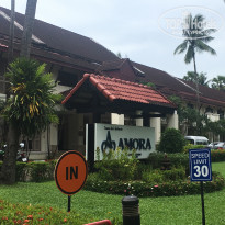 фото из отзыва ID 1651425