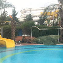 фото из отзыва ID 1652552