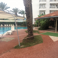 фото из отзыва ID 1652552