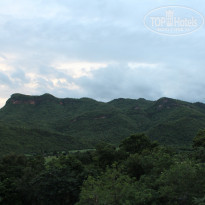 фото из отзыва ID 1652646