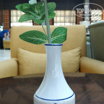 фото из отзыва ID 1652742