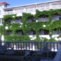 фото из отзыва ID 1652743