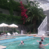 фото из отзыва ID 1652743