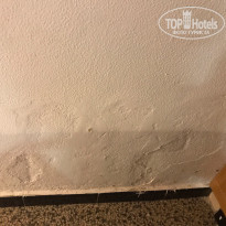 фото из отзыва ID 1652762