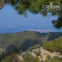 фото из отзыва ID 1652896