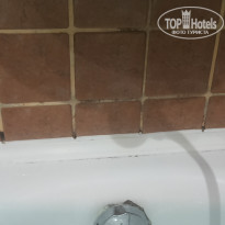 фото из отзыва ID 1653100