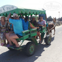 фото из отзыва ID 1653150