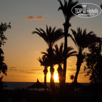 фото из отзыва ID 1653265