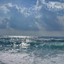 фото из отзыва ID 1653393