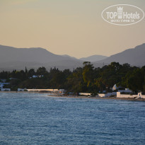 фото из отзыва ID 1651275