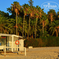 фото из отзыва ID 1651275