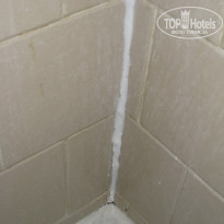 фото из отзыва ID 1653420