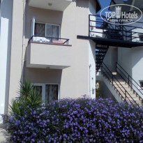 фото из отзыва ID 1653484