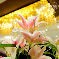 фото из отзыва ID 1653620