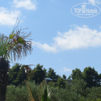 фото из отзыва ID 1653795