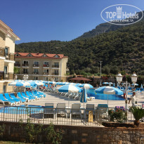 фото из отзыва ID 1654019