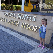 фото из отзыва ID 1654145