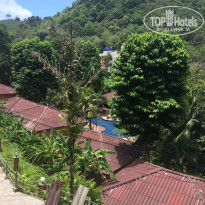 фото из отзыва ID 1654170