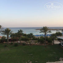 фото из отзыва ID 1654238