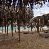 фото из отзыва ID 1654238