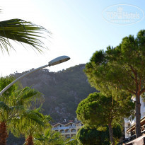 фото из отзыва ID 1654273