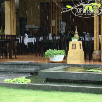 фото из отзыва ID 1654442