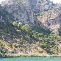 фото из отзыва ID 1654457