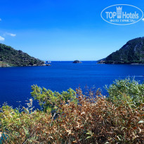 фото из отзыва ID 1654457