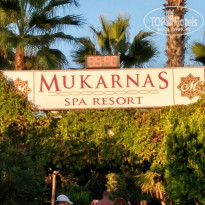 фото из отзыва ID 1654560