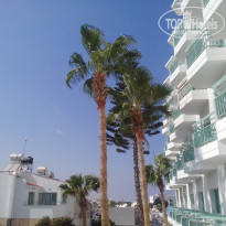 фото из отзыва ID 1654571