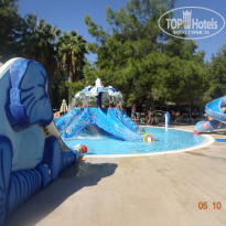 фото из отзыва ID 1654593