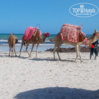 фото из отзыва ID 1654741