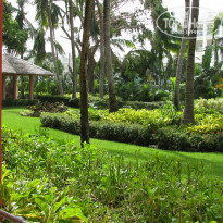 фото из отзыва ID 1654748