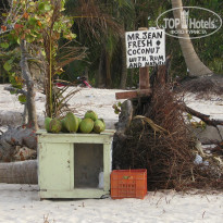 фото из отзыва ID 1654748