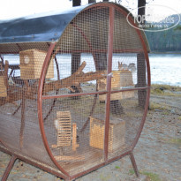 фото из отзыва ID 1654643