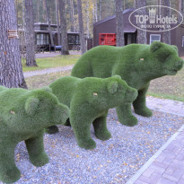 фото из отзыва ID 1654643