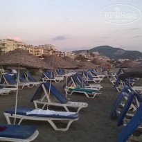 фото из отзыва ID 1655069