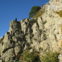 фото из отзыва ID 1655098