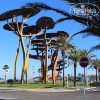 фото из отзыва ID 1655102