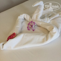 фото из отзыва ID 1655158